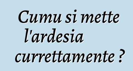 Cumu si mette l'ardesia currettamente ?