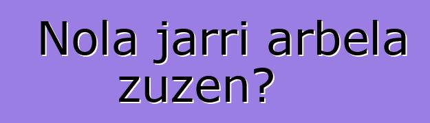 Nola jarri arbela zuzen?