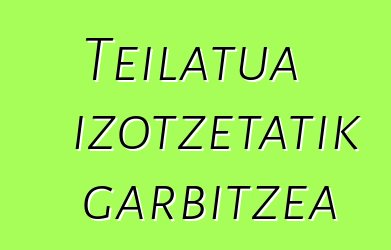 Teilatua izotzetatik garbitzea