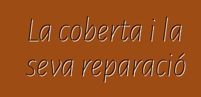 La coberta i la seva reparació