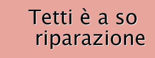 Tetti è a so riparazione