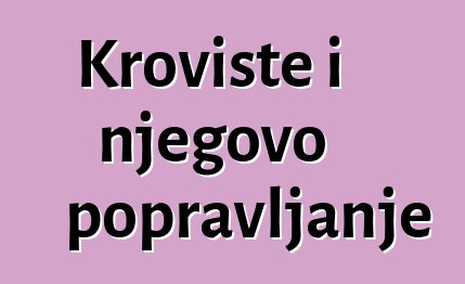 Krovište i njegovo popravljanje