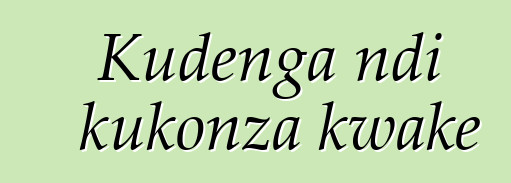 Kudenga ndi kukonza kwake