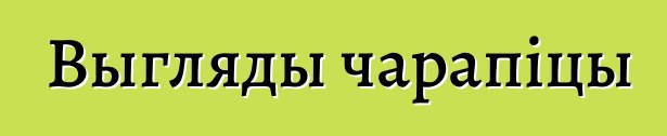 Выгляды чарапіцы