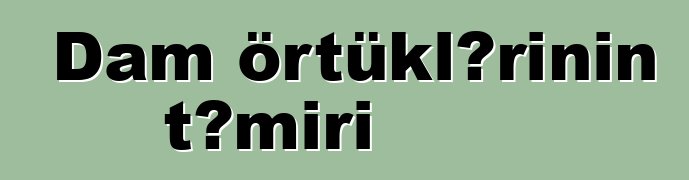 Dam örtüklərinin təmiri