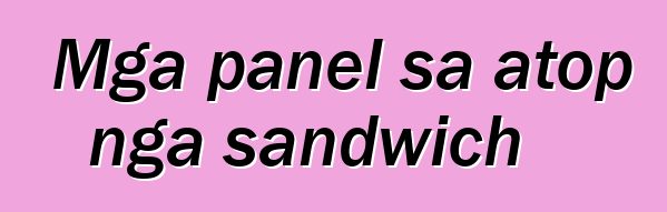 Mga panel sa atop nga sandwich