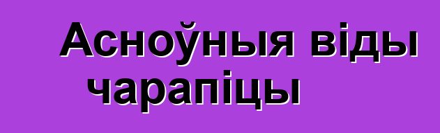 Асноўныя віды чарапіцы