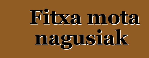 Fitxa mota nagusiak