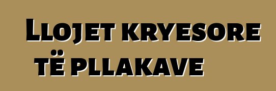 Llojet kryesore të pllakave