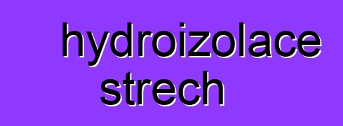 hydroizolace střech