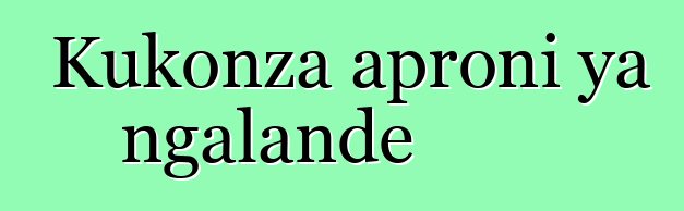 Kukonza aproni ya ngalande