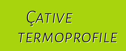 Çative termoprofile