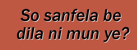 So sanfɛla bɛ dila ni mun ye?