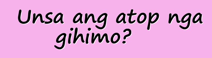 Unsa ang atop nga gihimo?