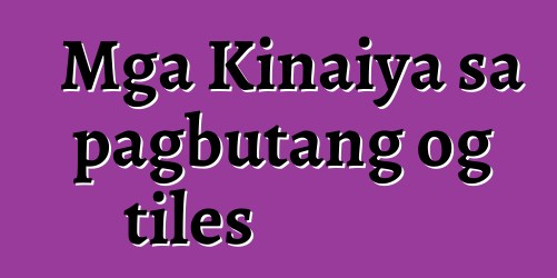 Mga Kinaiya sa pagbutang og tiles