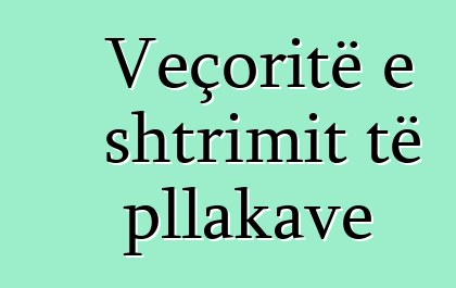 Veçoritë e shtrimit të pllakave