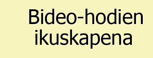 Bideo-hodien ikuskapena