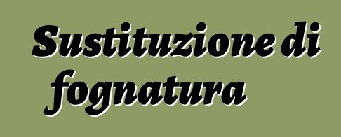 Sustituzione di fognatura