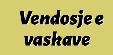 Vendosje e vaskave