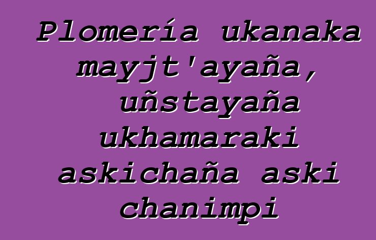 Plomería ukanaka mayjt’ayaña, uñstayaña ukhamaraki askichaña aski chanimpi