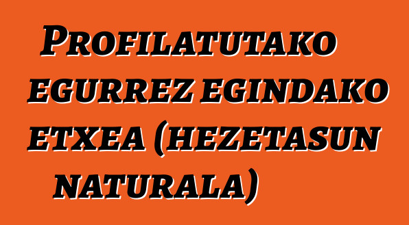 Profilatutako egurrez egindako etxea (hezetasun naturala)