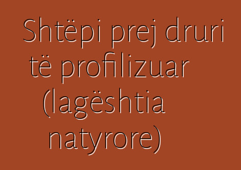 Shtëpi prej druri të profilizuar (lagështia natyrore)