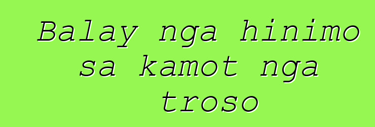 Balay nga hinimo sa kamot nga troso