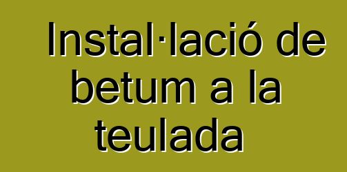 Instal·lació de betum a la teulada