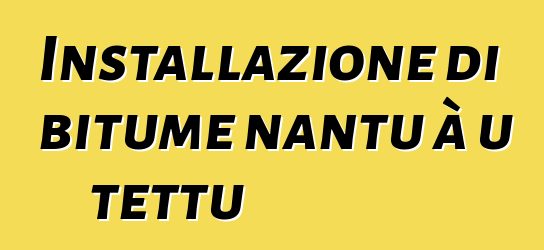 Installazione di bitume nantu à u tettu