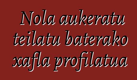 Nola aukeratu teilatu baterako xafla profilatua