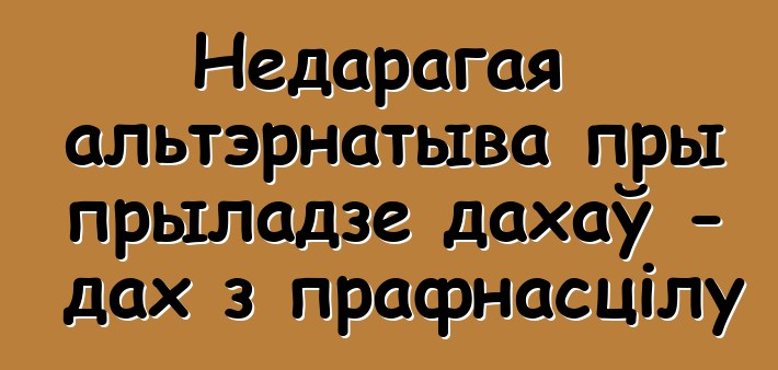 Недарагая альтэрнатыва пры прыладзе дахаў - дах з прафнасцілу