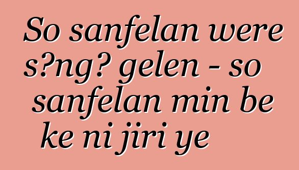 So sanfɛlan wɛrɛ sɔngɔ gɛlɛn - so sanfɛlan min bɛ kɛ ni jiri ye