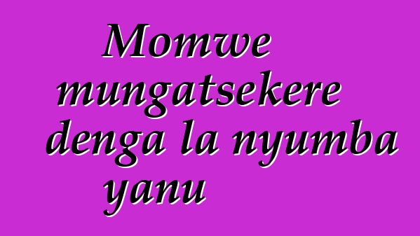 Momwe mungatsekere denga la nyumba yanu