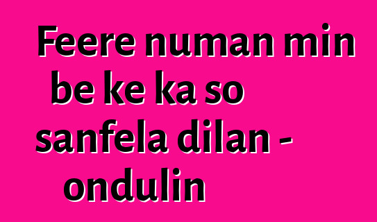 Fɛɛrɛ ɲuman min bɛ kɛ ka so sanfɛla dilan - ondulin