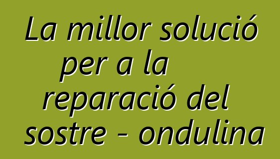 La millor solució per a la reparació del sostre - ondulina