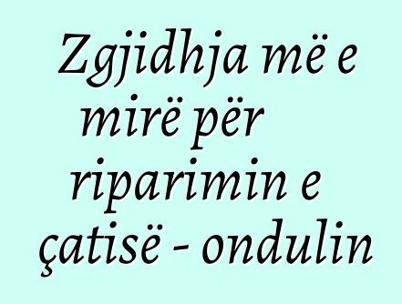 Zgjidhja më e mirë për riparimin e çatisë - ondulin