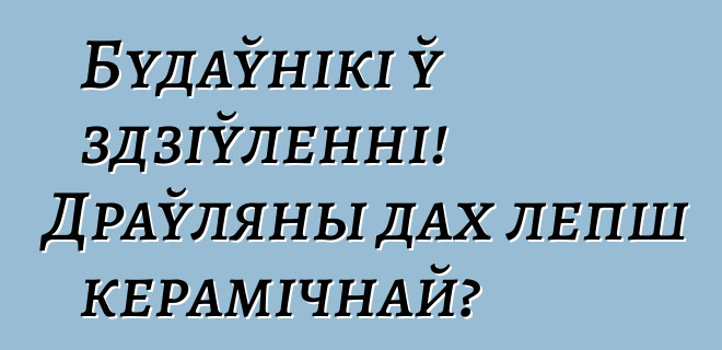 Будаўнікі ў здзіўленні! Драўляны дах лепш керамічнай?