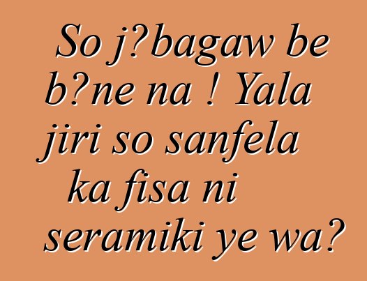 So jɔbagaw bɛ bɔnɛ na ! Yala jiri so sanfɛla ka fisa ni seramiki ye wa?