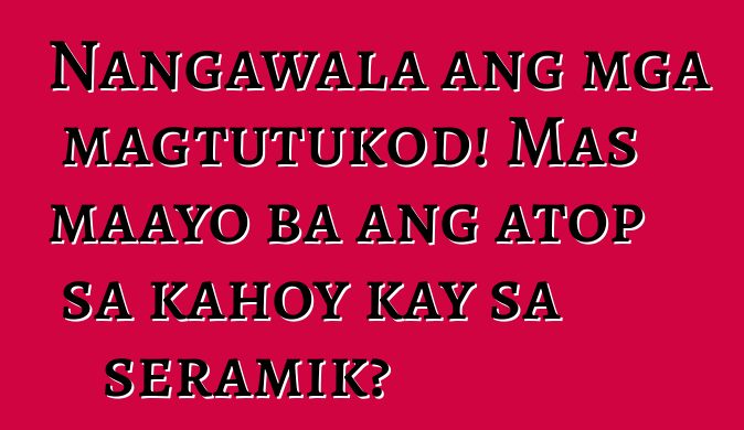 Nangawala ang mga magtutukod! Mas maayo ba ang atop sa kahoy kay sa seramik?