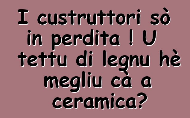 I custruttori sò in perdita ! U tettu di legnu hè megliu cà a ceramica?