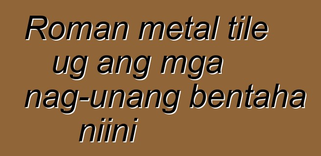 Roman metal tile ug ang mga nag-unang bentaha niini