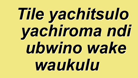 Tile yachitsulo yachiroma ndi ubwino wake waukulu