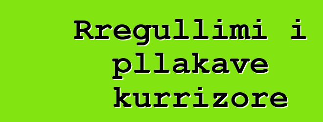 Rregullimi i pllakave kurrizore