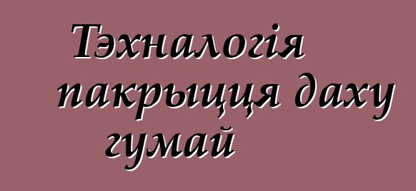 Тэхналогія пакрыцця даху гумай