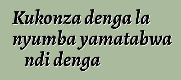 Kukonza denga la nyumba yamatabwa ndi denga