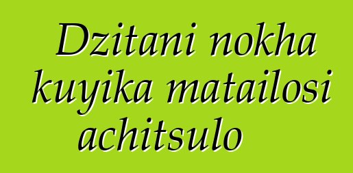 Dzitani nokha kuyika matailosi achitsulo