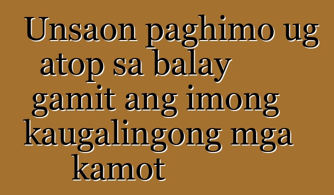 Unsaon paghimo ug atop sa balay gamit ang imong kaugalingong mga kamot