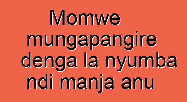 Momwe mungapangire denga la nyumba ndi manja anu