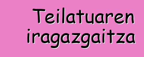 Teilatuaren iragazgaitza