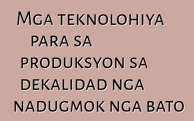 Mga teknolohiya para sa produksyon sa dekalidad nga nadugmok nga bato